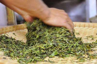 普洱茶制作技藝 殺青，茶味定格的“關鍵手”